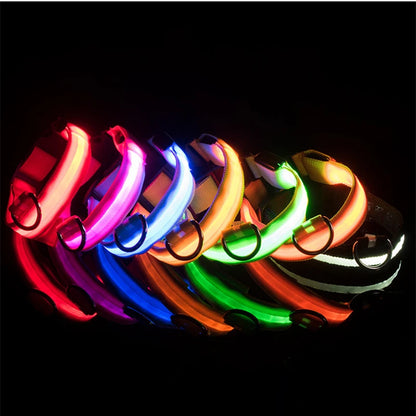 USB Rechargeable Luminous Collar Adjustable Led Glowing Dog Collar for Large Small Dogs Cat Night Light Collar Pet Safety Harnes