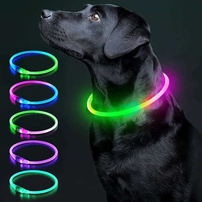 USB Rechargeable Luminous Collar Adjustable Led Glowing Dog Collar for Large Small Dogs Cat Night Light Collar Pet Safety Harnes