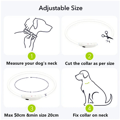 USB Rechargeable Luminous Collar Adjustable Led Glowing Dog Collar for Large Small Dogs Cat Night Light Collar Pet Safety Harnes