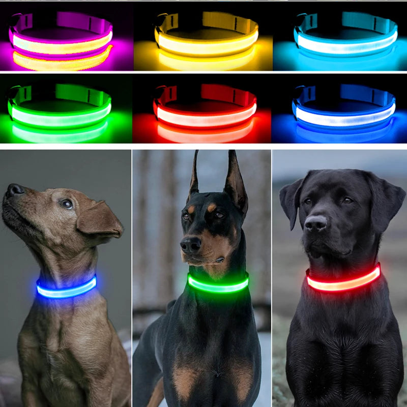 USB Rechargeable Luminous Collar Adjustable Led Glowing Dog Collar for Large Small Dogs Cat Night Light Collar Pet Safety Harnes