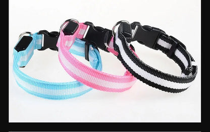 Dog Collar Nylon LED Night Safety Flashing Glow In The Dark Pet Dog Leash pet Dogs Luminous Fluorescent  dog accessories collar