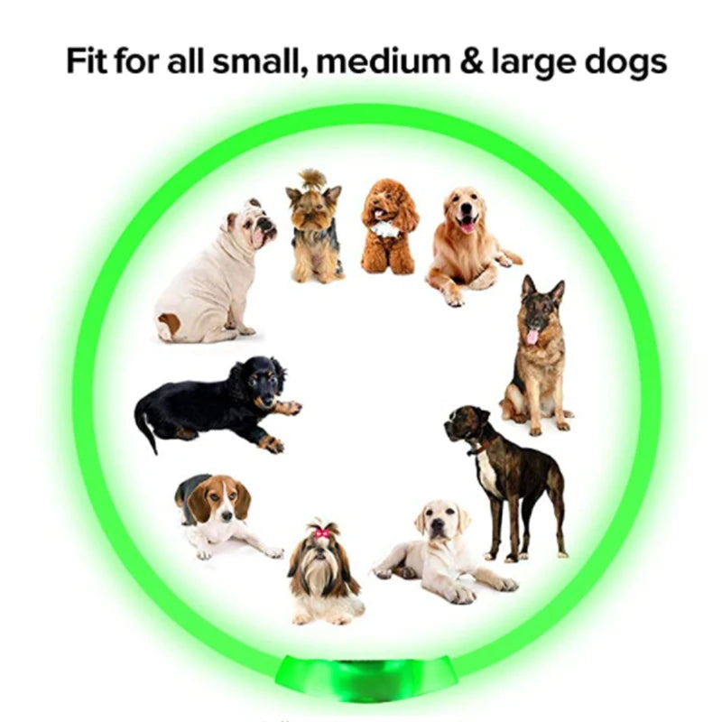 USB Rechargeable Luminous Collar Adjustable Led Glowing Dog Collar for Large Small Dogs Cat Night Light Collar Pet Safety Harnes